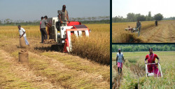 New initiative for agricultural mechanization of Bangladesh