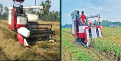 Agricultural machinery is conducive to employment growth
