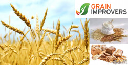 Grain Improvers – Enzymatic composition for higher grain grinding efficiency and sustainability - FAQ