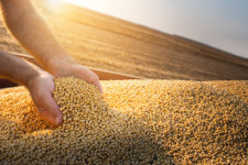 Bunge Ltd raises earnings outlook 2022 as Russia-Ukraine war cuts off crop supplies