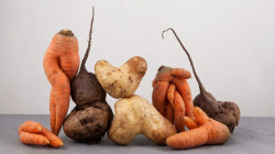Why we need to get used to wonky vegetables?