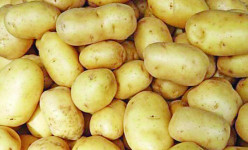 Why is there so much demand for Lalita potatoes from Bangladesh in Myanmar?