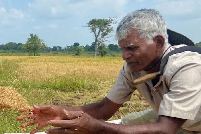A 72-year-old man from Kerala has saved 54 indigenous rice varieties in 20 years