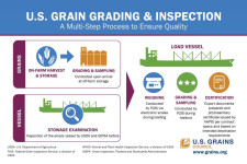 Caption news on U.S. grain grading and inspection