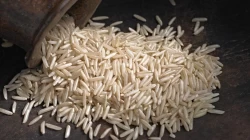 Basmati rice sales are likely to increase due to high realization and healthy demand