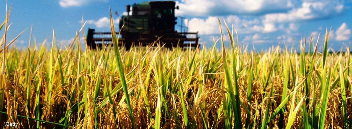USDA Encourages Rice Farmers to Prepare for new Rice Production program