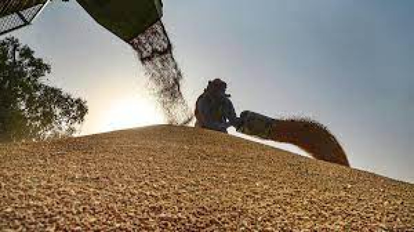 Morocco has changed its import scheme to secure wheat supplies