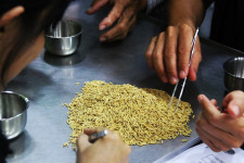 CLRRI is working on improving specialty rice varieties