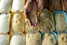 Rice export prices from India stabilized this week after four weeks of decline