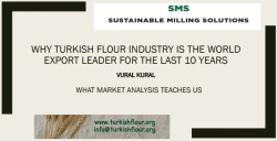 WHY TURKISH FLOUR INDUSTRY BEEN THE WORLD EXPORT LEADER FOR THE LAST 10 YEARS: WHAT MARKET ANALYSIS TEACHES US
