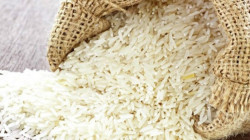 Philippines to drive global rice consumption...