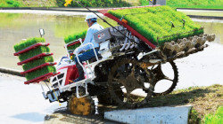 Use of machinery and equipment on rice farms in the Philippines has seen little improvement