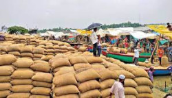 1 lakh 62 thousand 186 metric tons of food surplus in Gopalganj