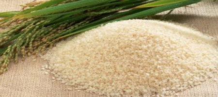Jammu and Kashmir's authorities plan the revival of aromatic rice Mushk Budji