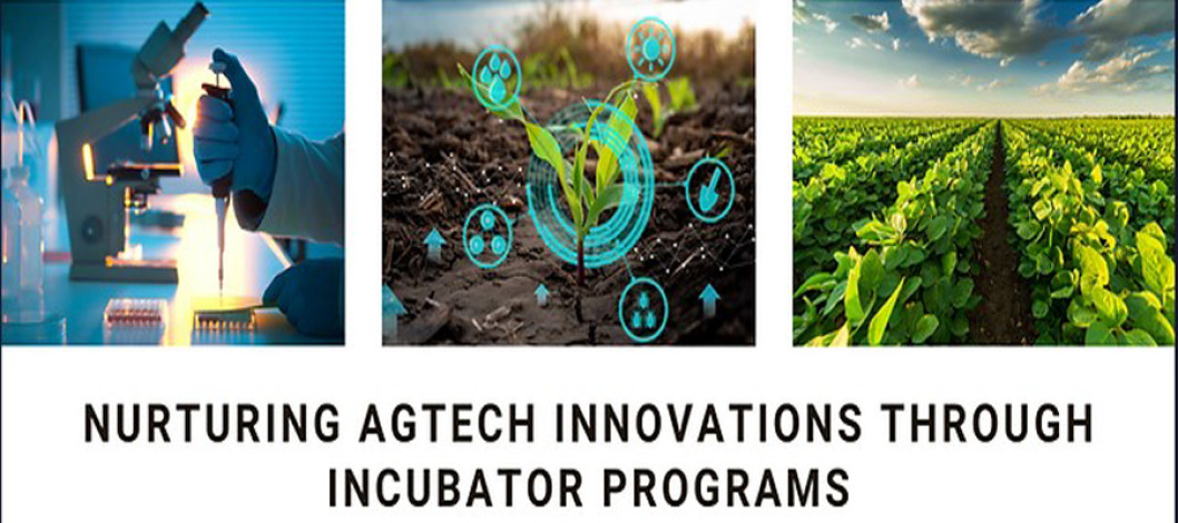 From Lab to Field: Fostering AgTech Innovation through Incubator Programs