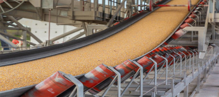 How to Select the Right Grain Conveyor Belt from IBT Industrial Solutions