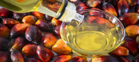 Palm Oil Industry Performance In 2023 and Prospects For 2024
