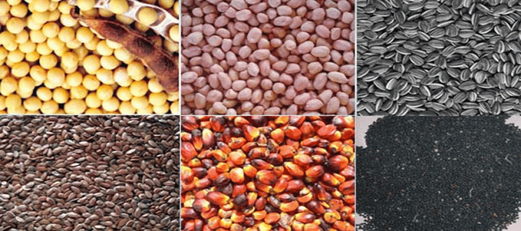 India is the fourth-largest oilseed producer in the world