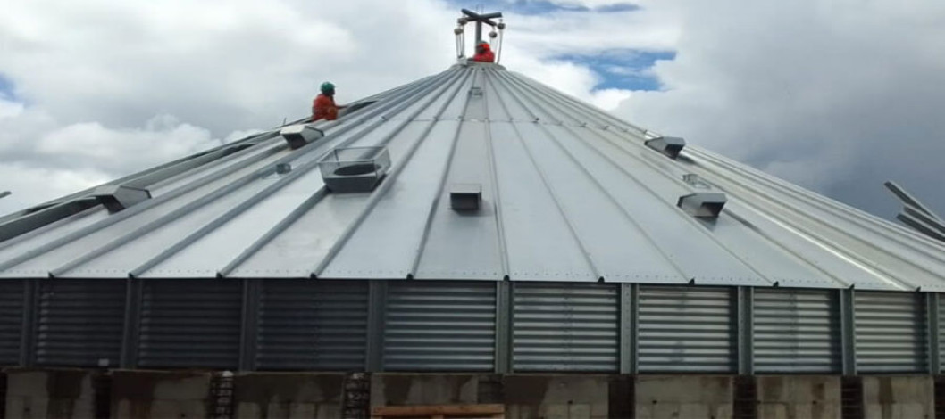 Alisur Expands Its Plant in Chile