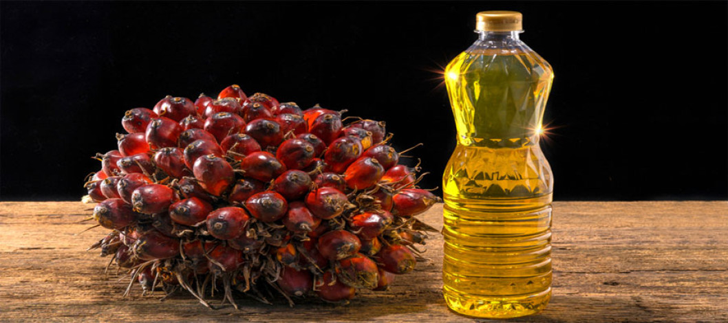 Malaysian palm oil prices fall on supply concerns