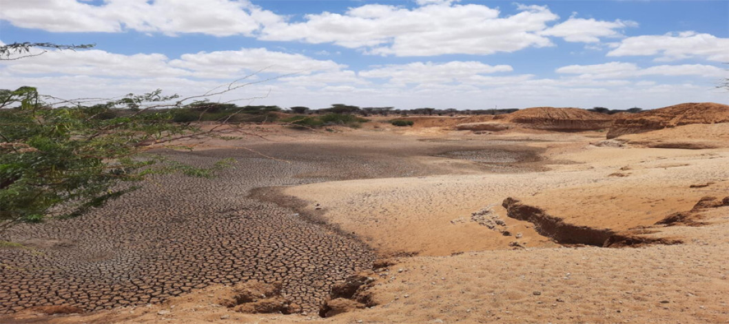 FAO report: 1.7 billion people experience lower crop yields due to land degradation