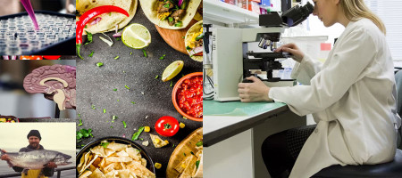 Food Quality You Can Trust: Industry-Leading Food Safety Expertise