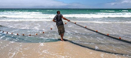 Effective management is vital to sustainable fisheries