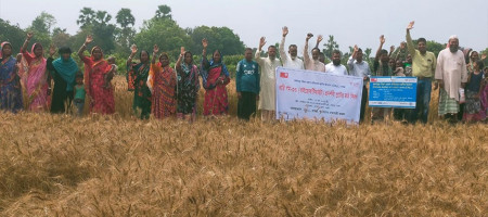 Farmers urged to encourage organically-fortified wheat cultivation to reduce zinc deficiency