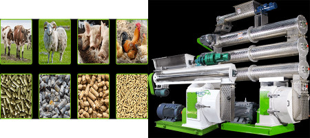 Caption News on Animal Feed Making Machine