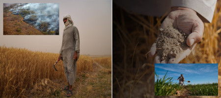 Addressing Land Degradation for a Sustainable Future