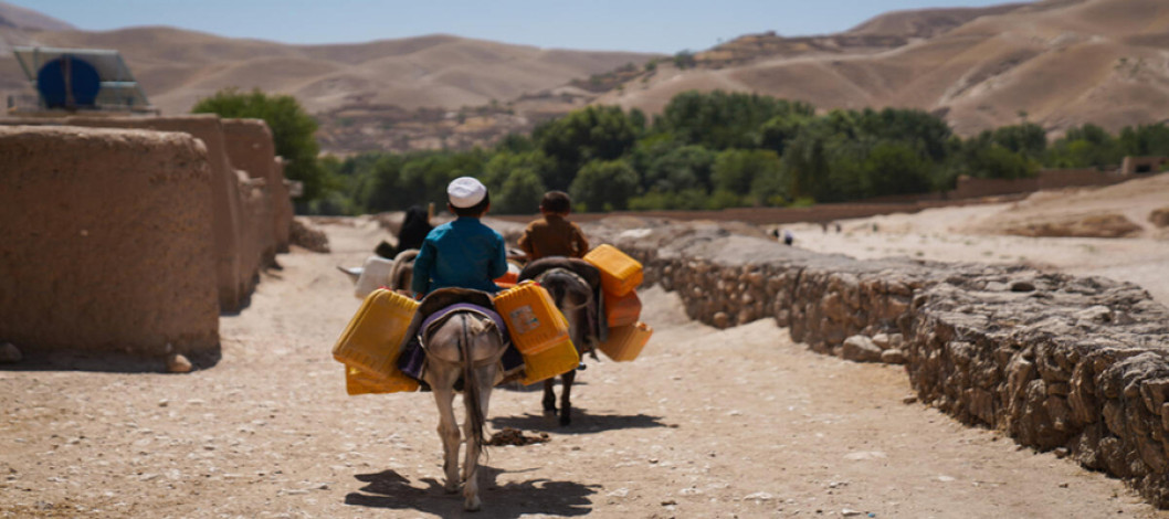 Extreme heat is pushing agrifood systems to the brink worldwide