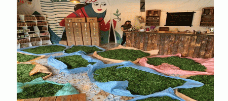 Tea in Turkey and All-New International Education