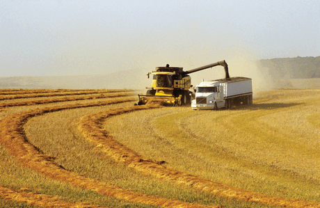Russia is going to impose export tax on wheat