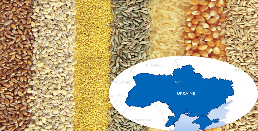 Ukraine weekly seaport grain exports fall sharply