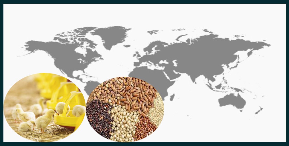World Feed Ingredients: Price Indication November 2019