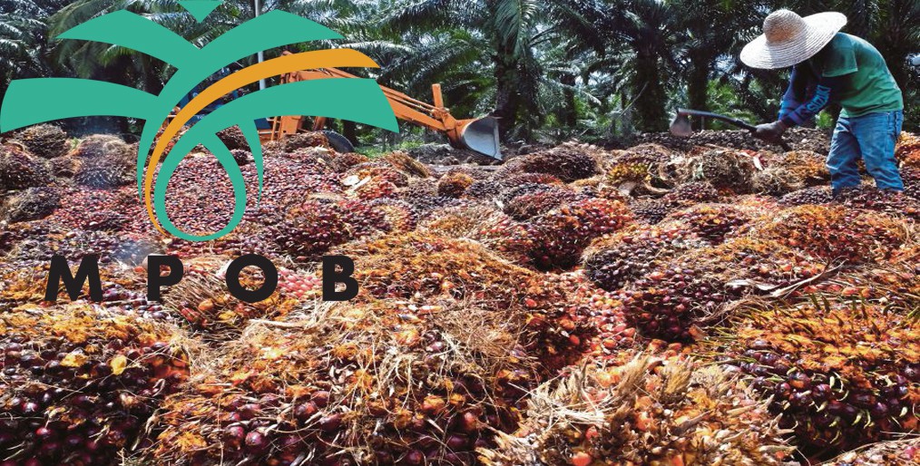 ‘Palm oil demand to remain weak in first-half 2020 due to virus lockdowns’