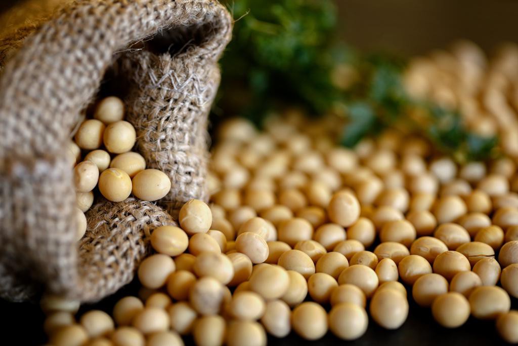 Soybeans have reached a 4-year high with supply concerns, drought in South America