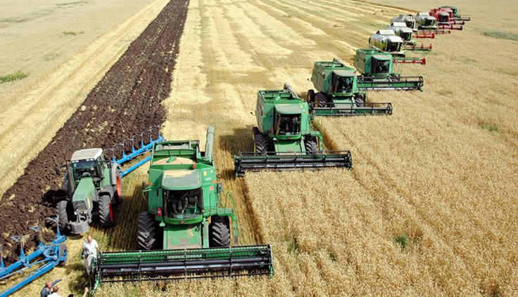 Ukraine has harvested 80% of its sown land and completed 76% of its winter crop planting