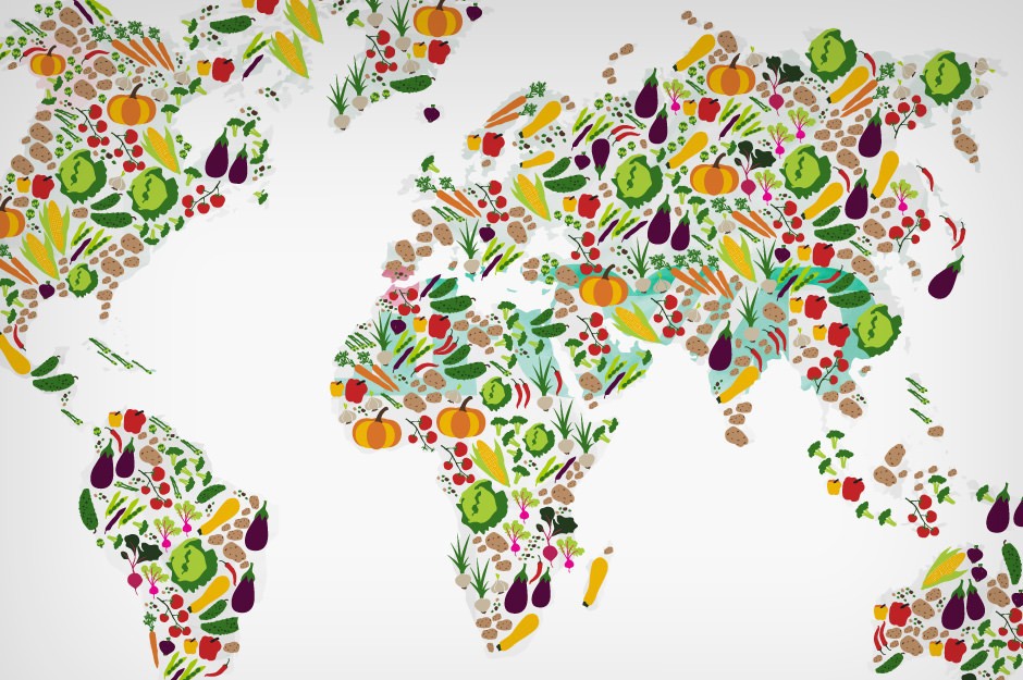 We must transform our food systems to achieve healthy people and a healthy planet