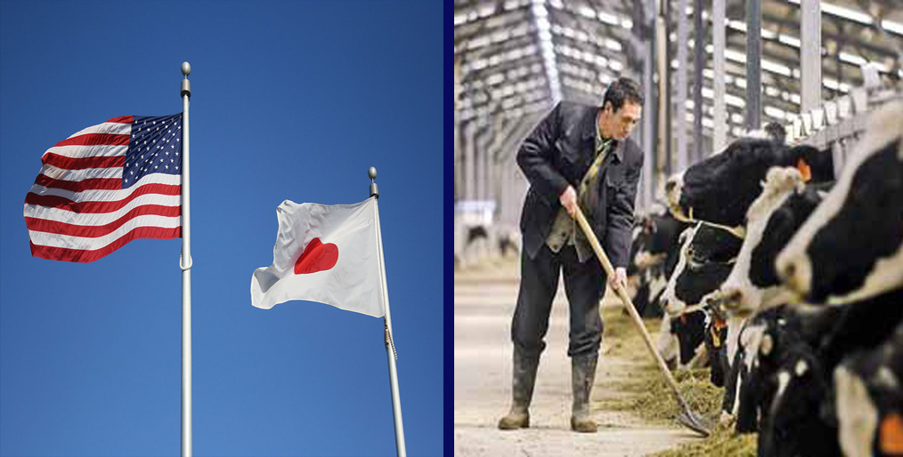 Japan trade agreement is a priority for the dairy industry