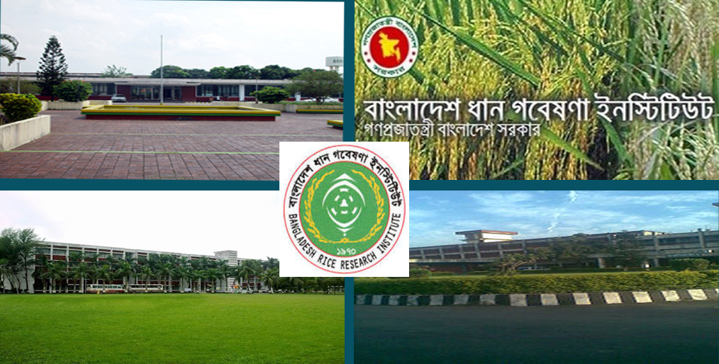 Bangladesh Rice Research Institute