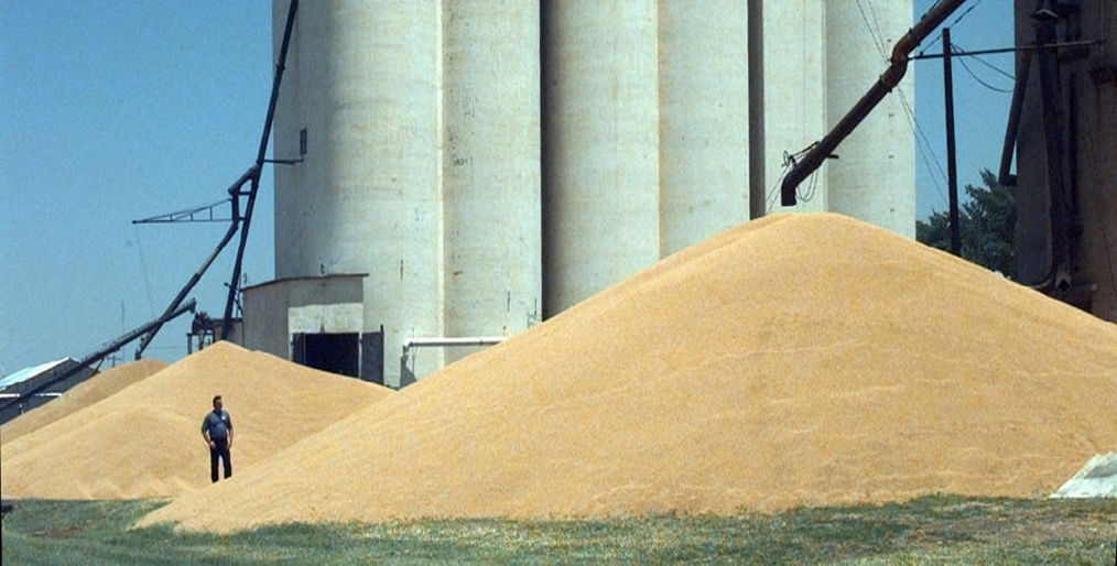 French wheat has been given the lowest of GASC tender traders in Egypt