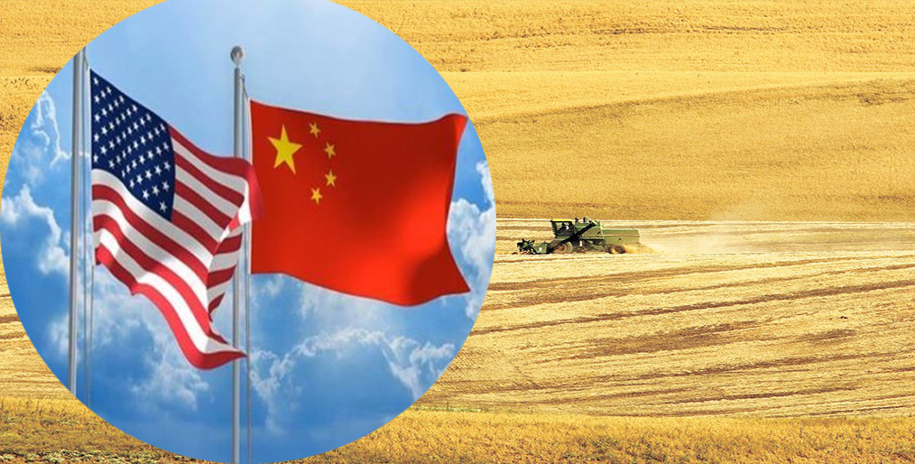 Chinese farm officials say 'good outcome' from trade talks