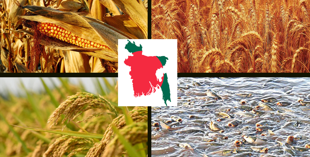 Bangladesh's success in agriculture is enviable