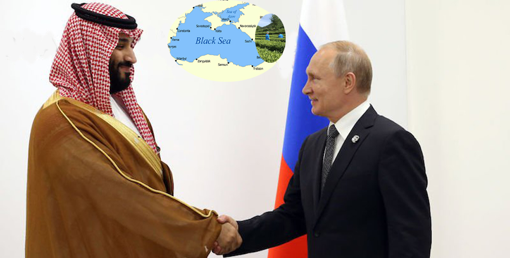 Saudi will participate in funding of Russian agricultural projects