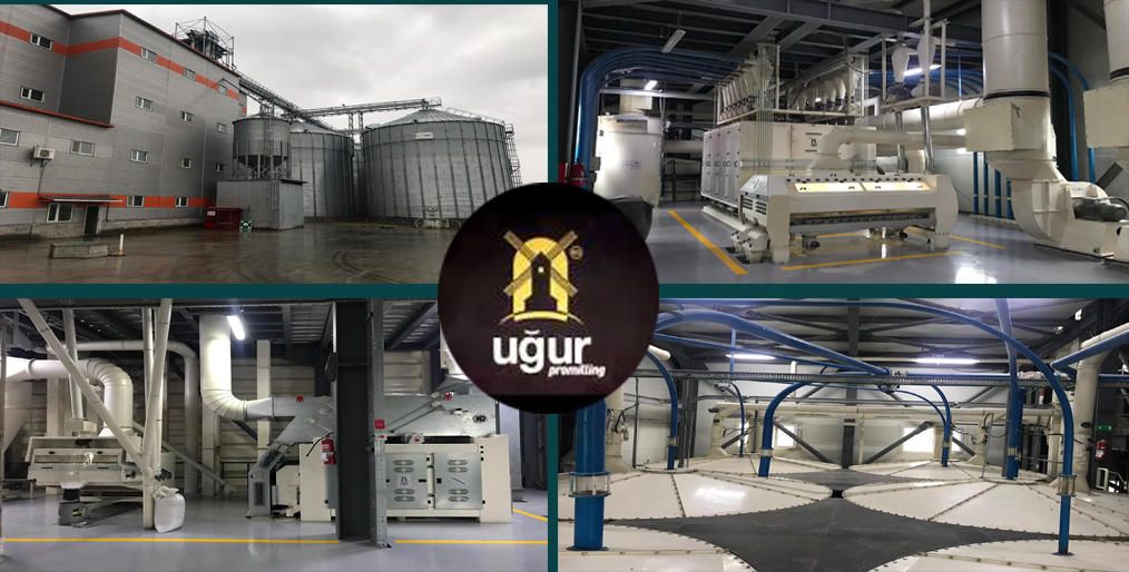 Caption news on Ugur Promilling in Mongolia