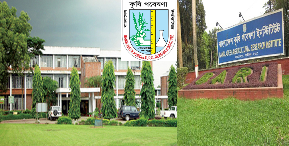 The success of Bangladesh Agricultural Research Institute