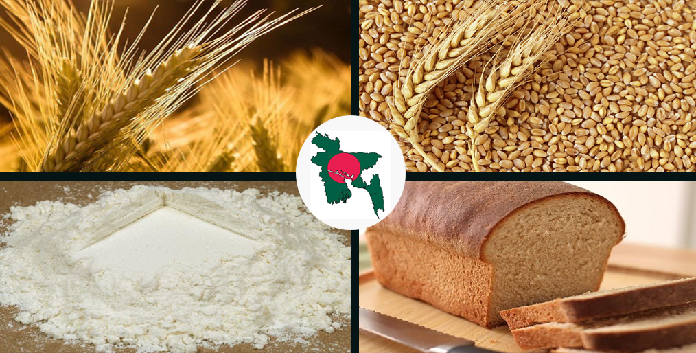 Wheat flour is the 2nd food crop of Bangladesh