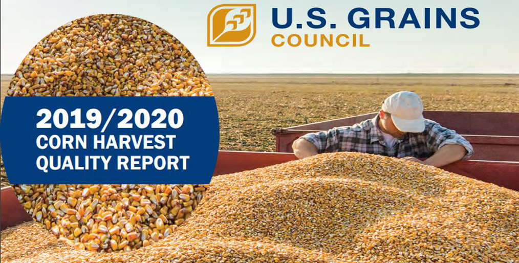 US Grains Council’s Corn Harvest Report 2019-20