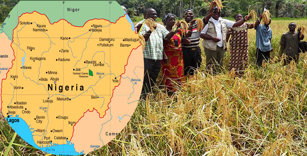Rice farmers have warned against importing fertilizers